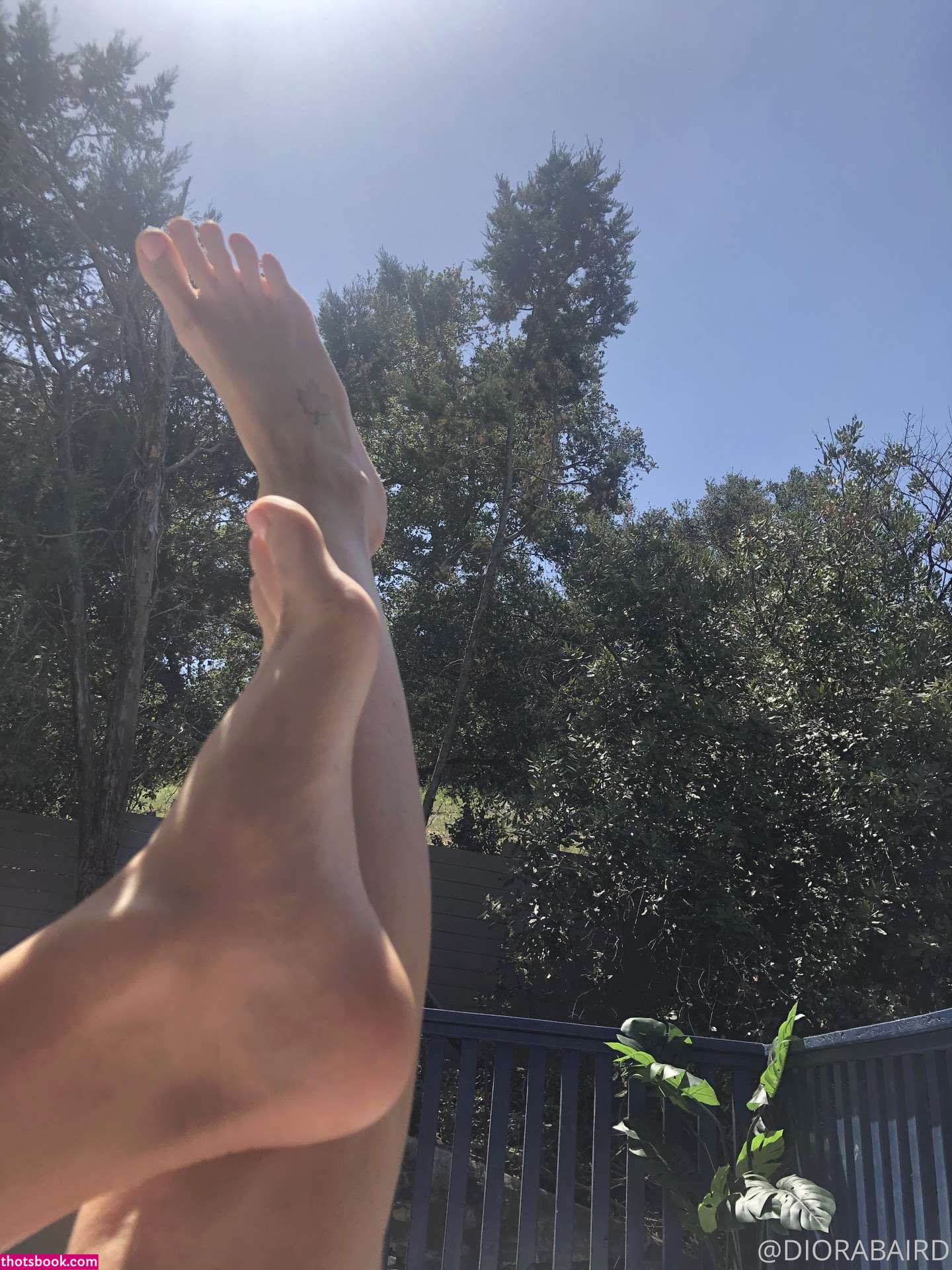 Diora Baird Photo #724