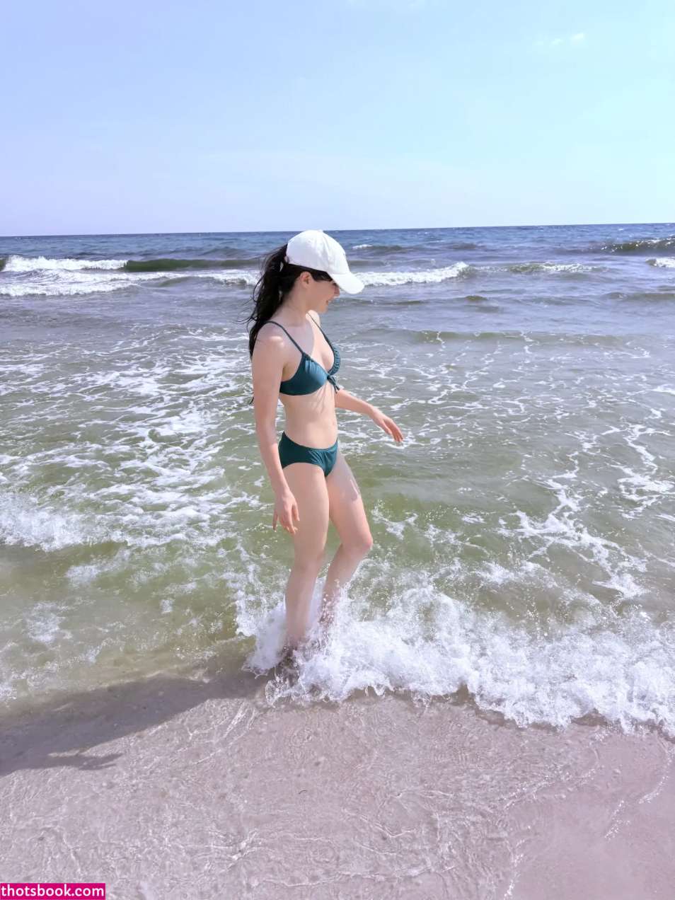 War Hamster Photo #6