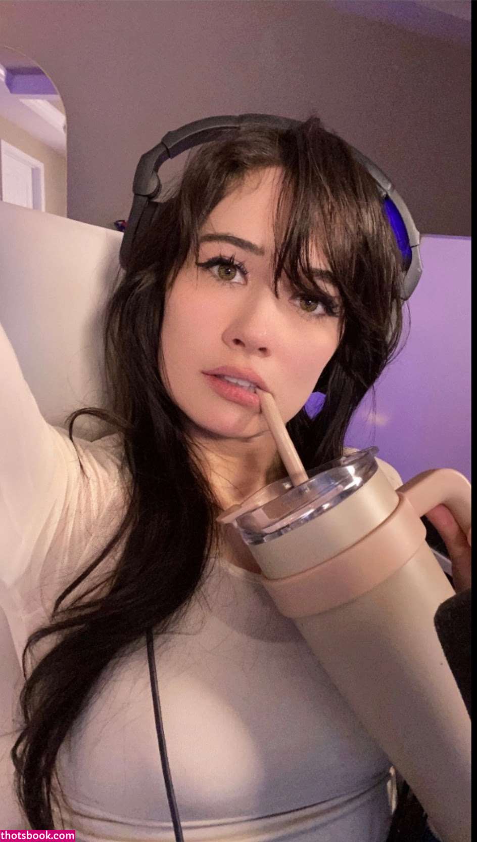 War Hamster Photo #10