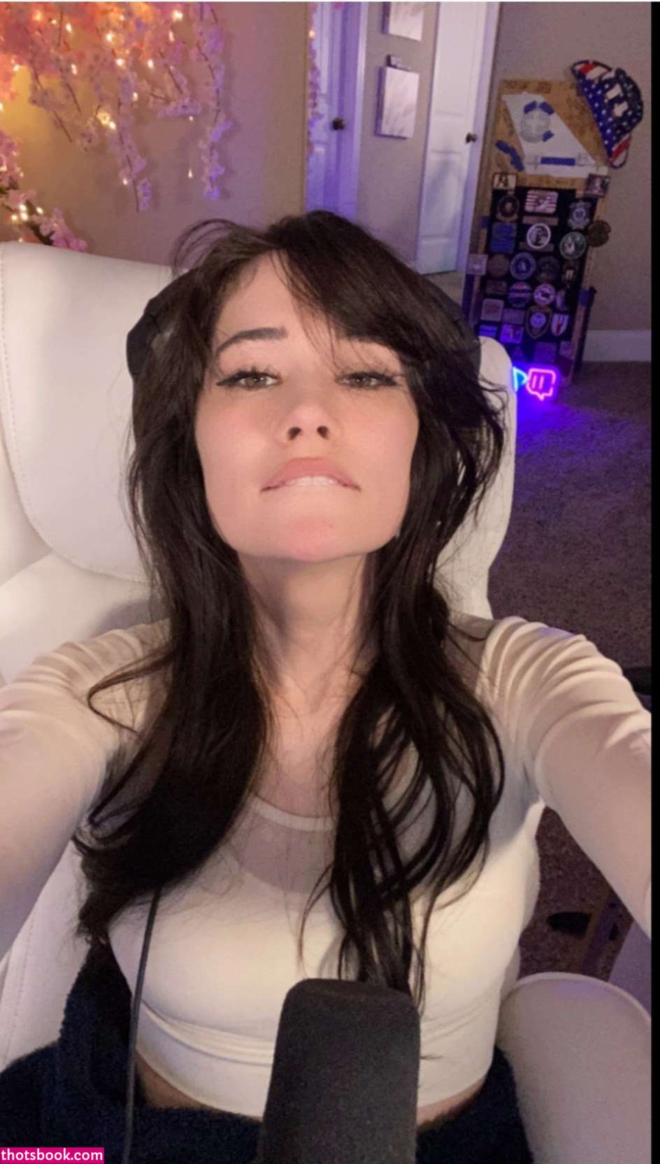 War Hamster Photo #15