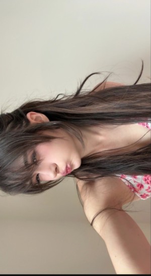 War Hamster Photo #20