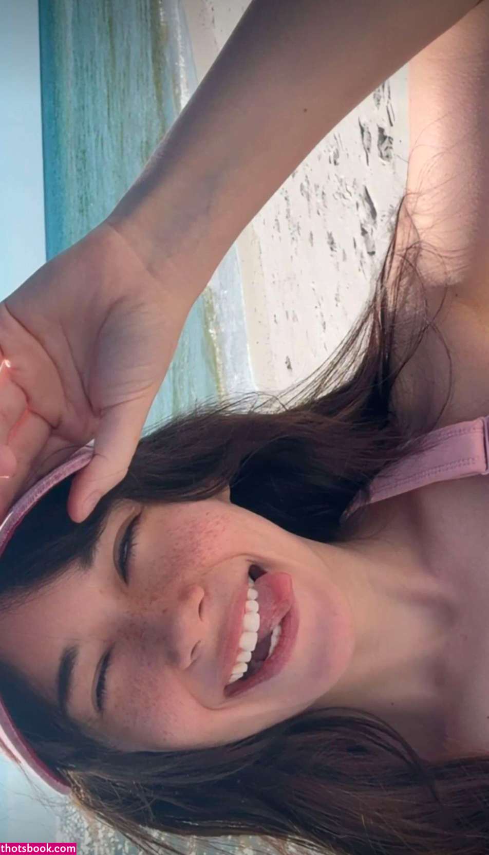 War Hamster Photo #28