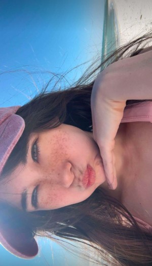 War Hamster Photo #24