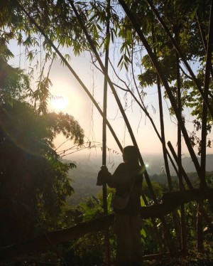 baimiminmint Post #2