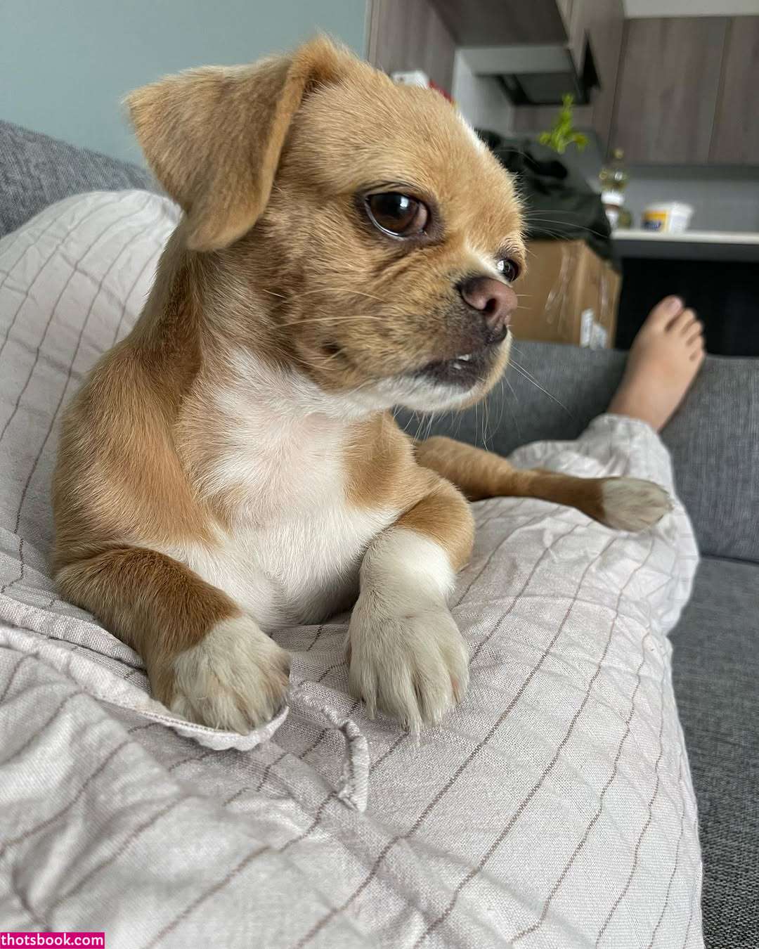 elitepinkbaby Photo #3