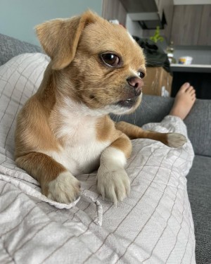 elitepinkbaby Post #1