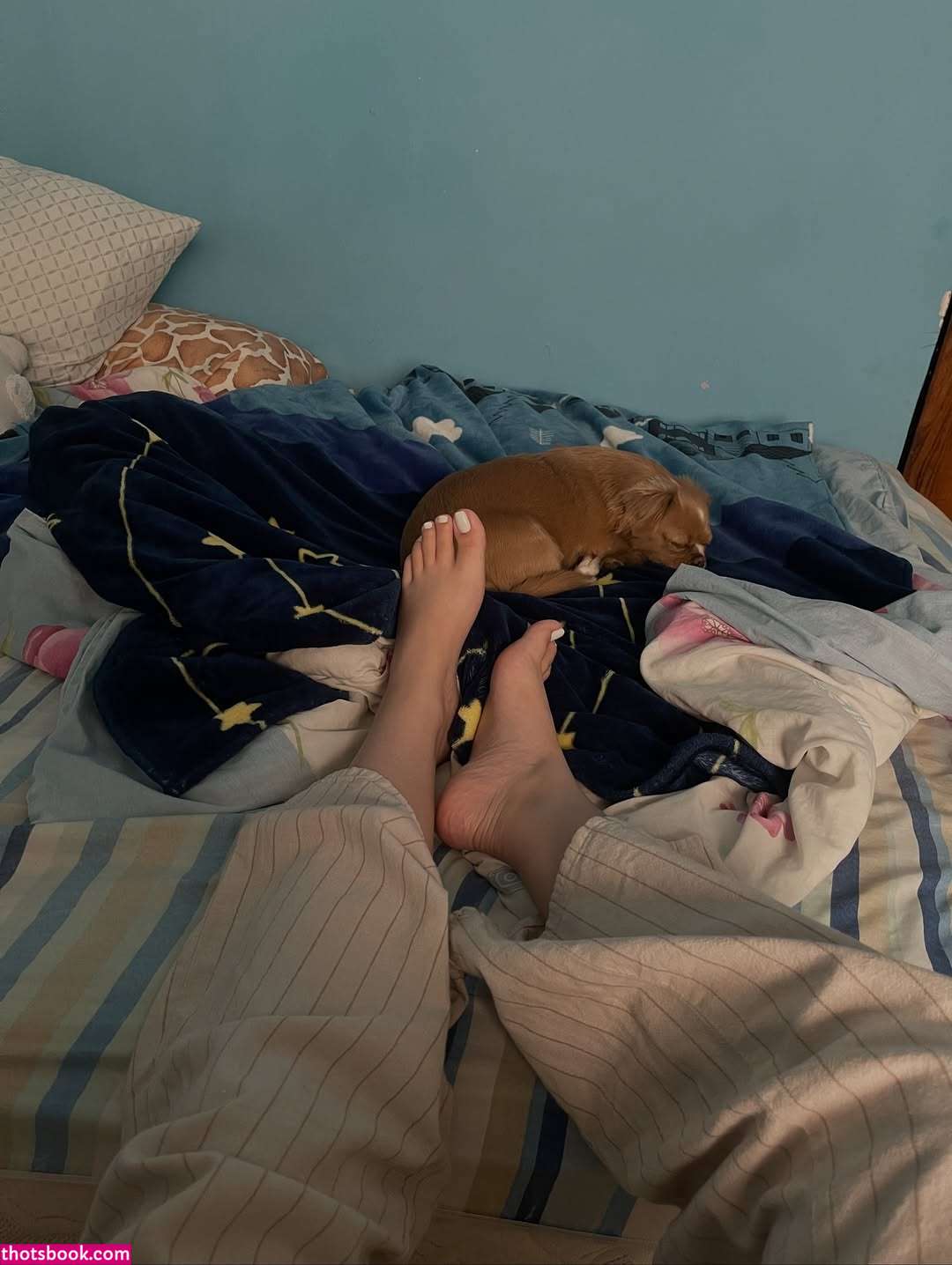 elitepinkbaby Photo #27