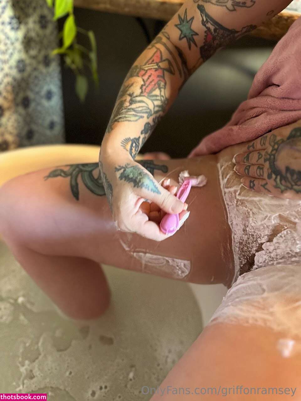 Griffon Ramsey Photo #242