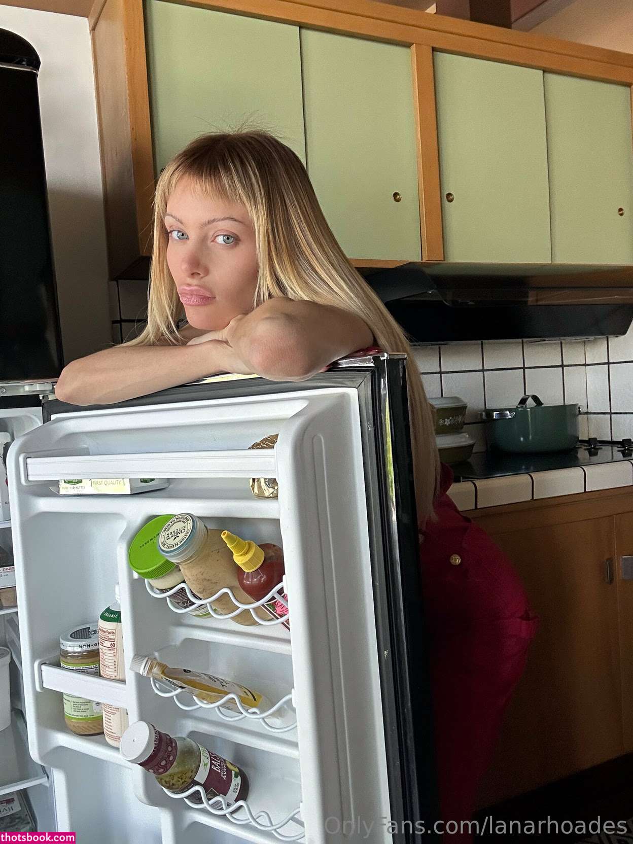 Lana Rhoades Photo #349