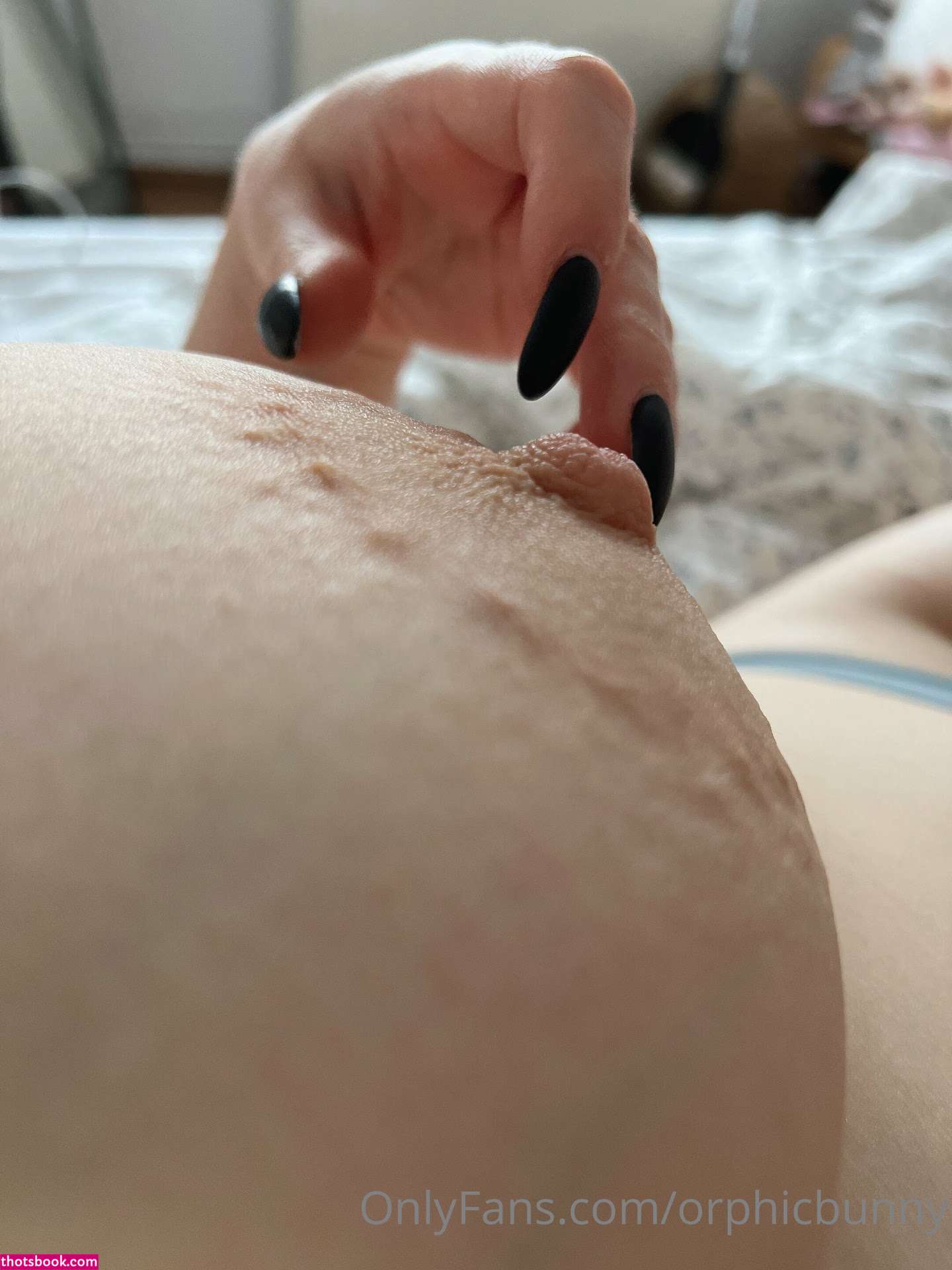 Monochromesan Photo #154