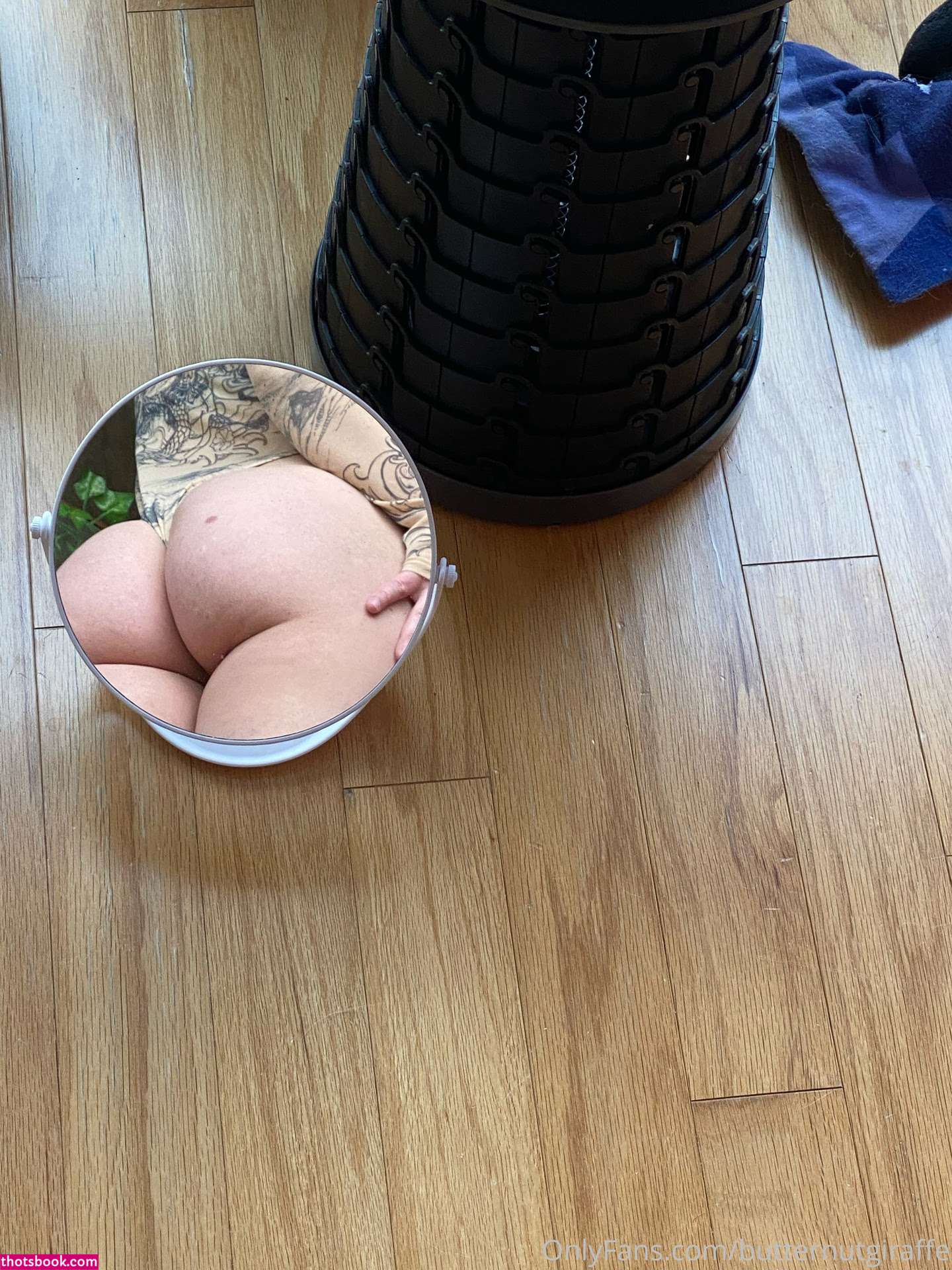 Butternutgiraffe Photo #71