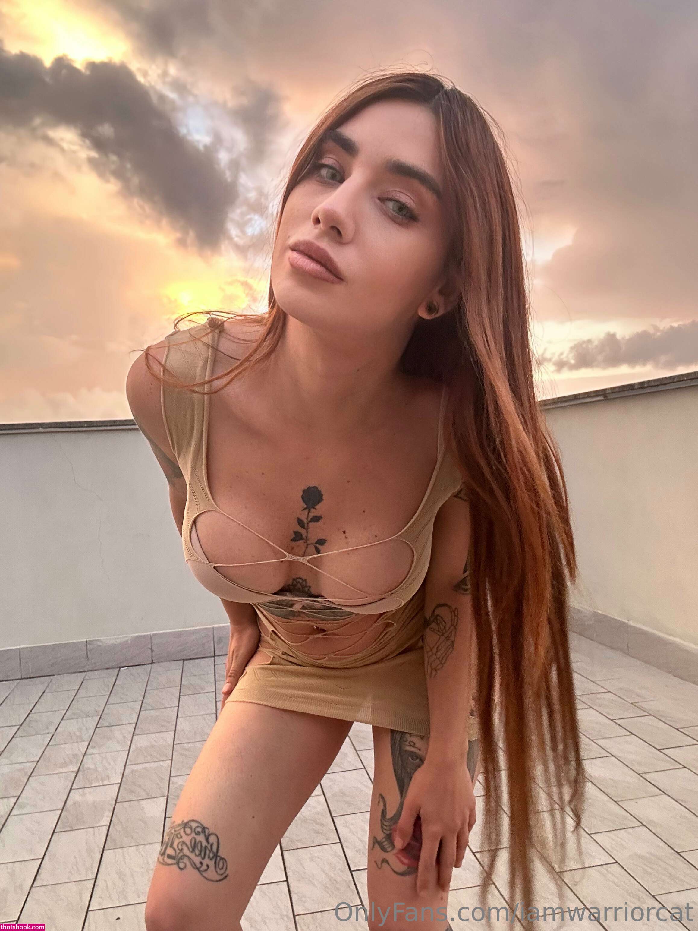 iamwarriorcat Photo #9