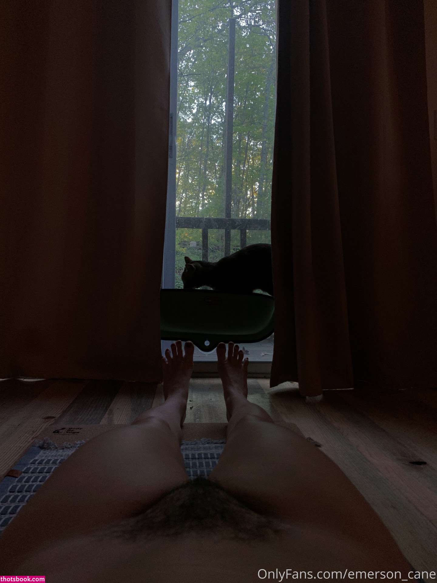 emersoncane Photo #378