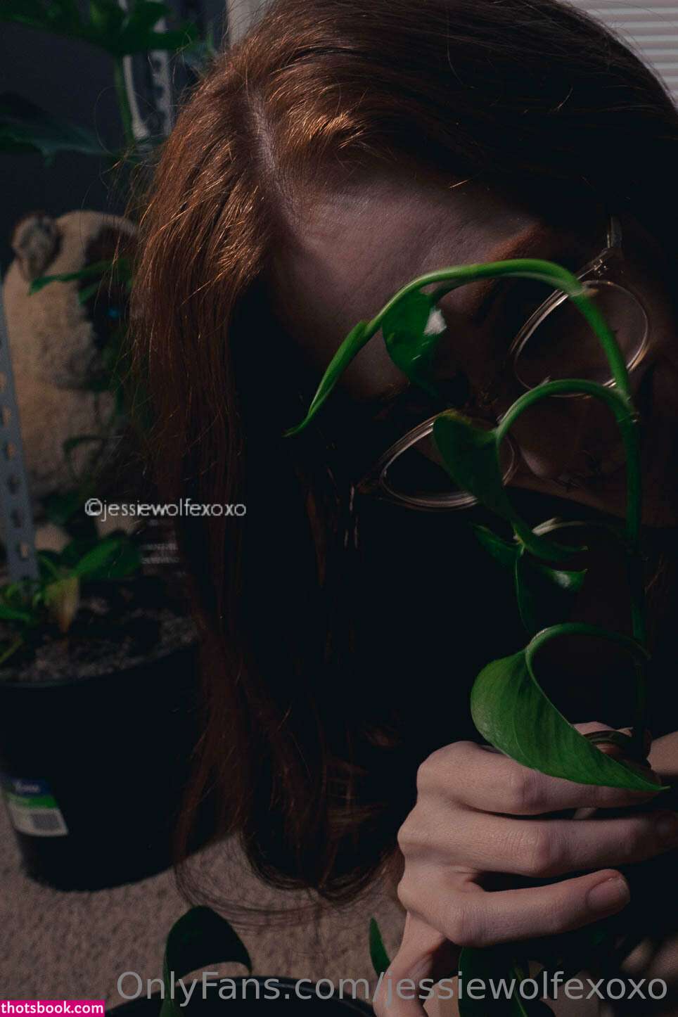 Jessiewolfexoxo Photo #85