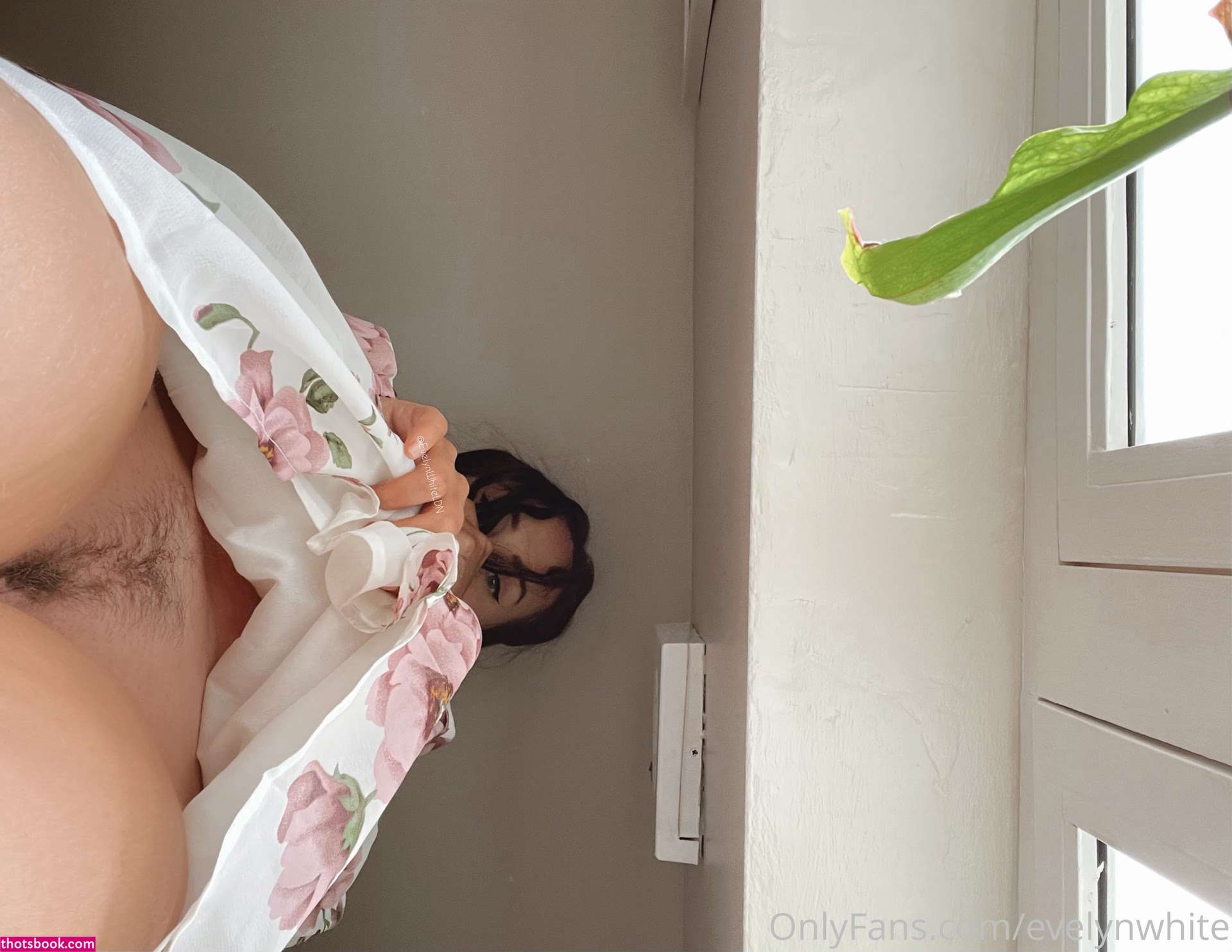 Evelyn White Photo #147