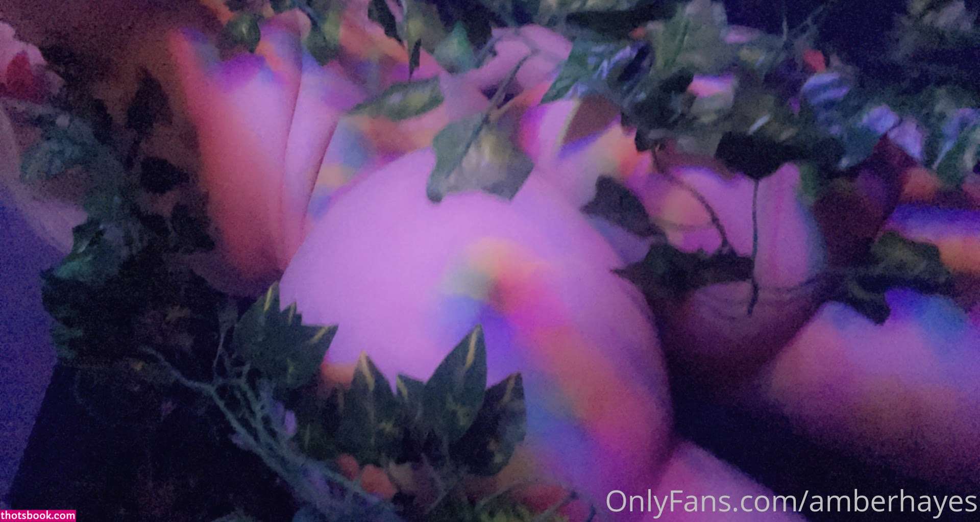 Amber Hayes Photo #52