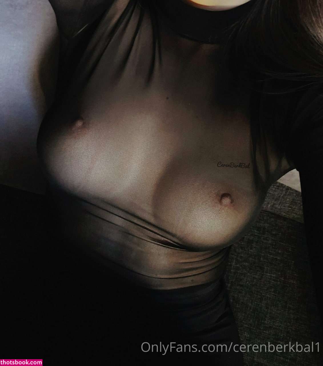 Cerenberkbal1 Photo #133