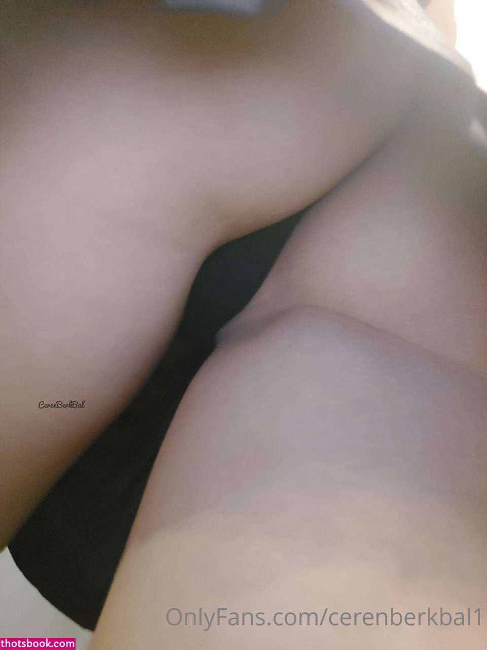 Cerenberkbal1 Photo #137