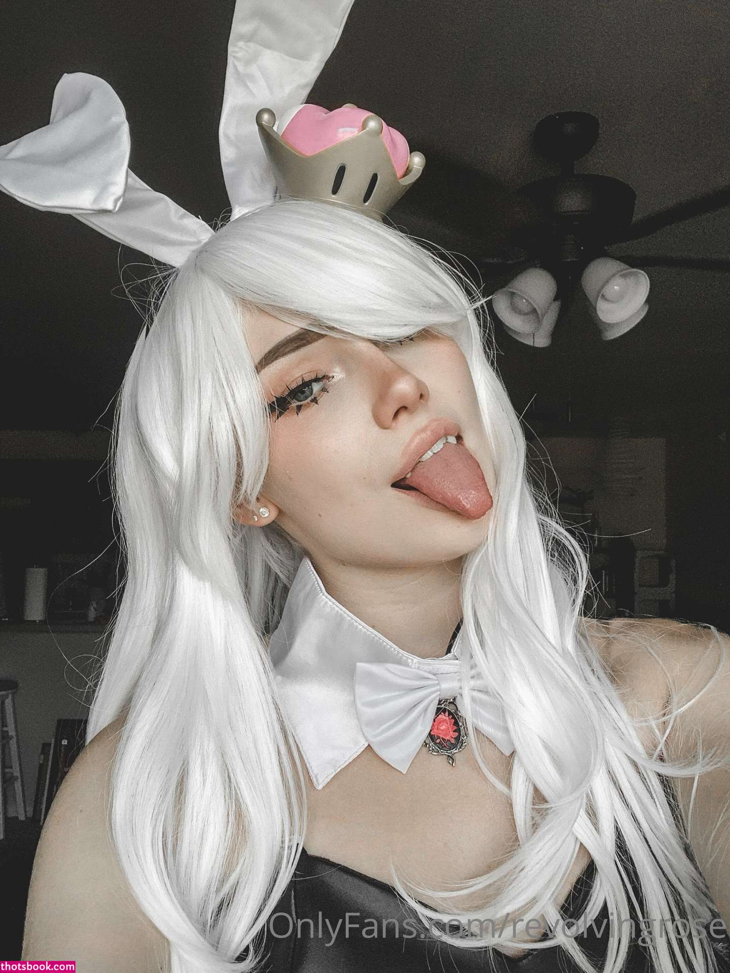 Revolvingrose Photo #19