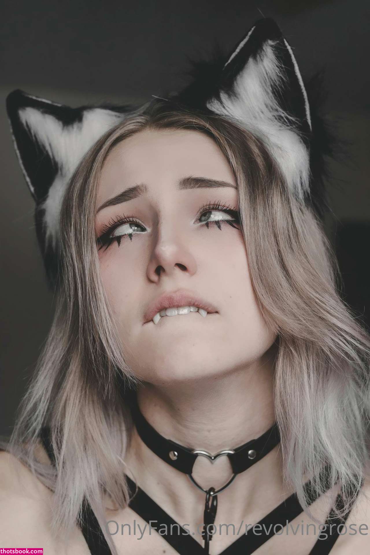 Revolvingrose Photo #237