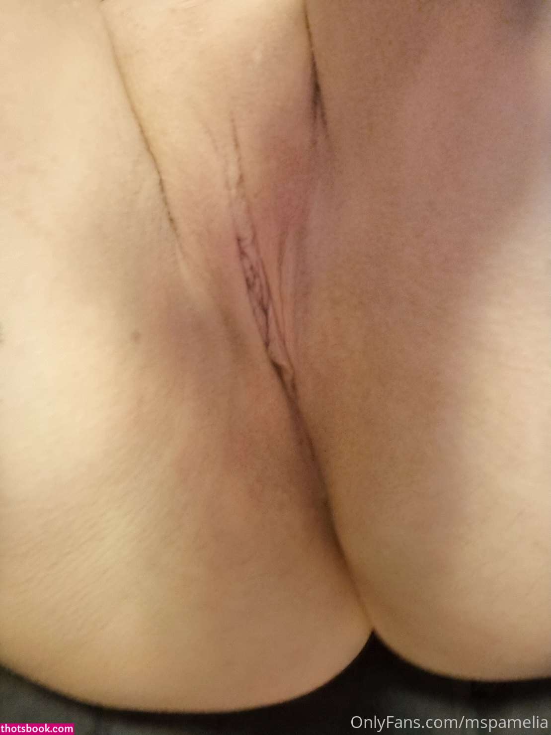 mspamelia Photo #161