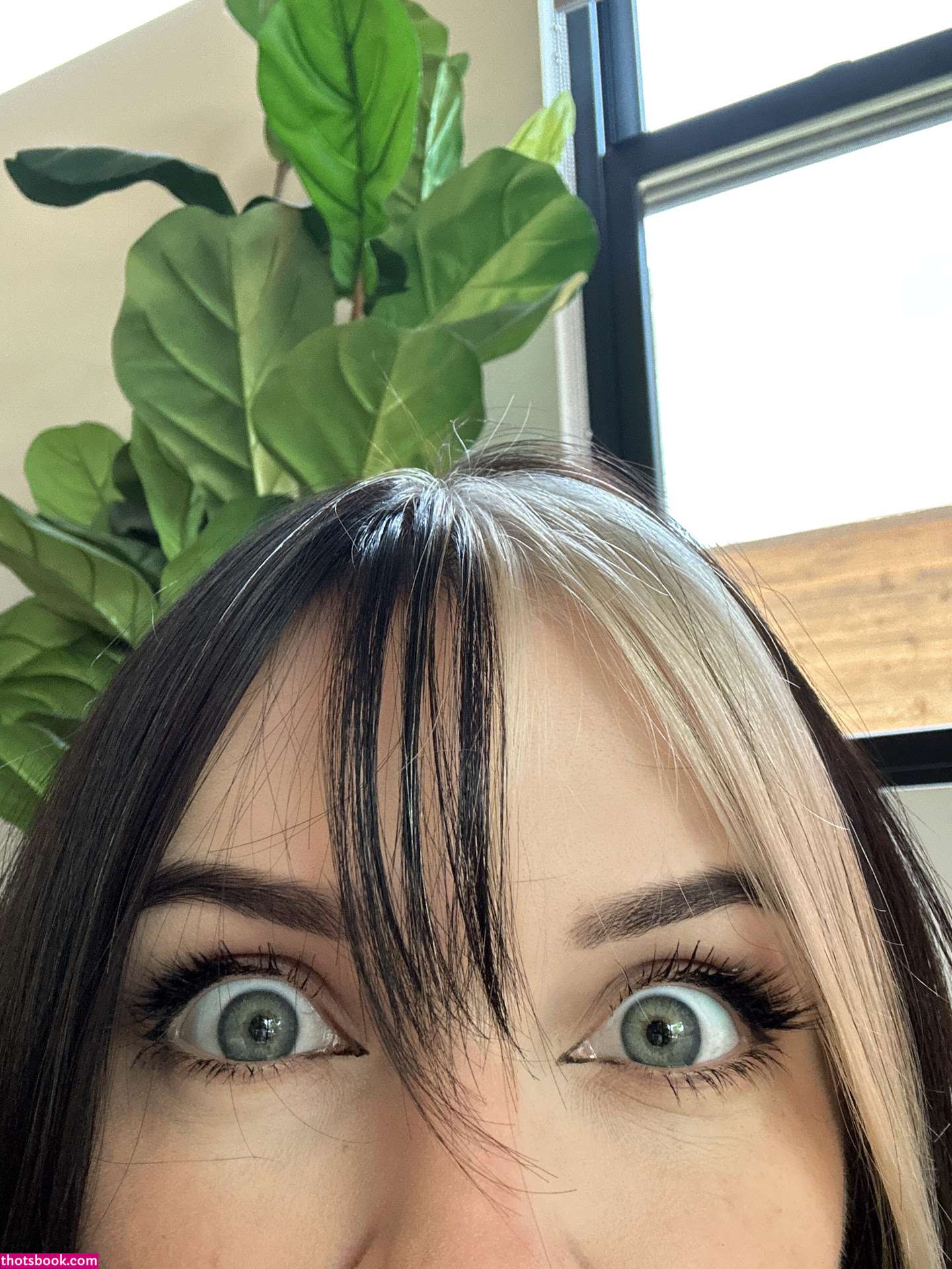 Peachjars Photo #1345