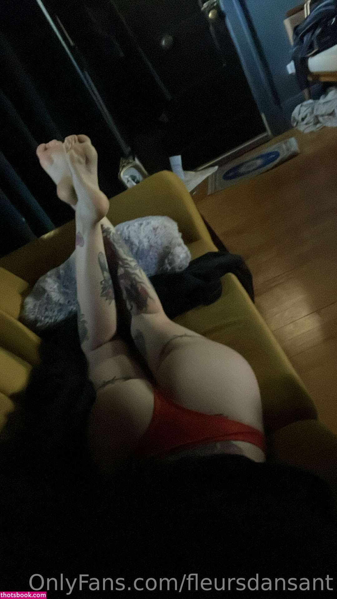 fleursdansant Photo #167