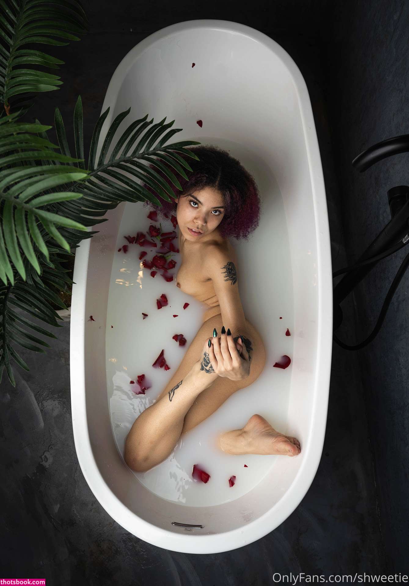 Shweetnlow1 Photo #63