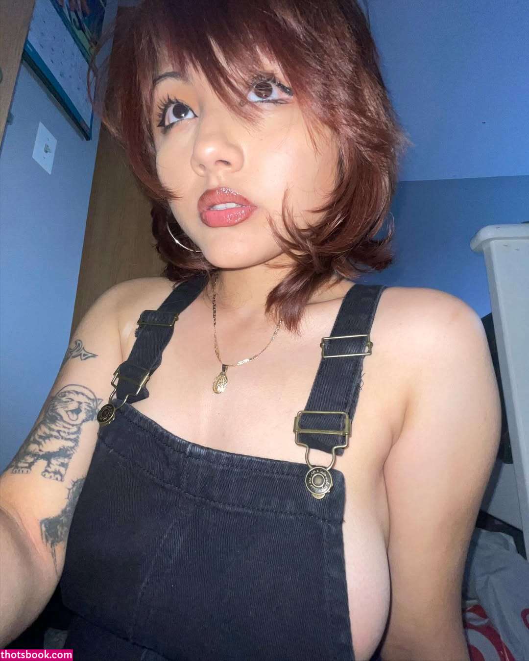 nomamesnico Photo #3