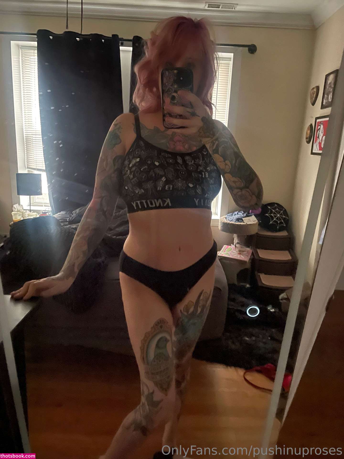 Pushinguproses Photo #2