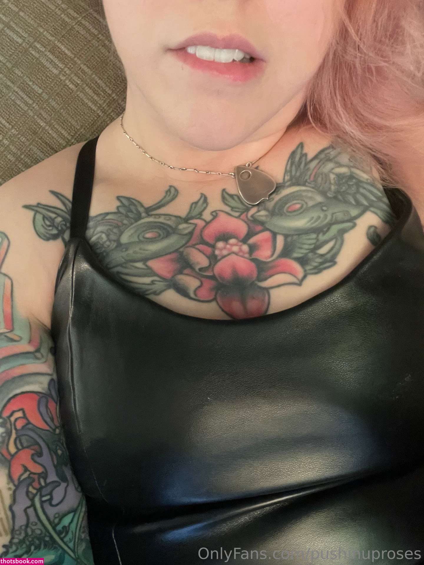 Pushinguproses Photo #15