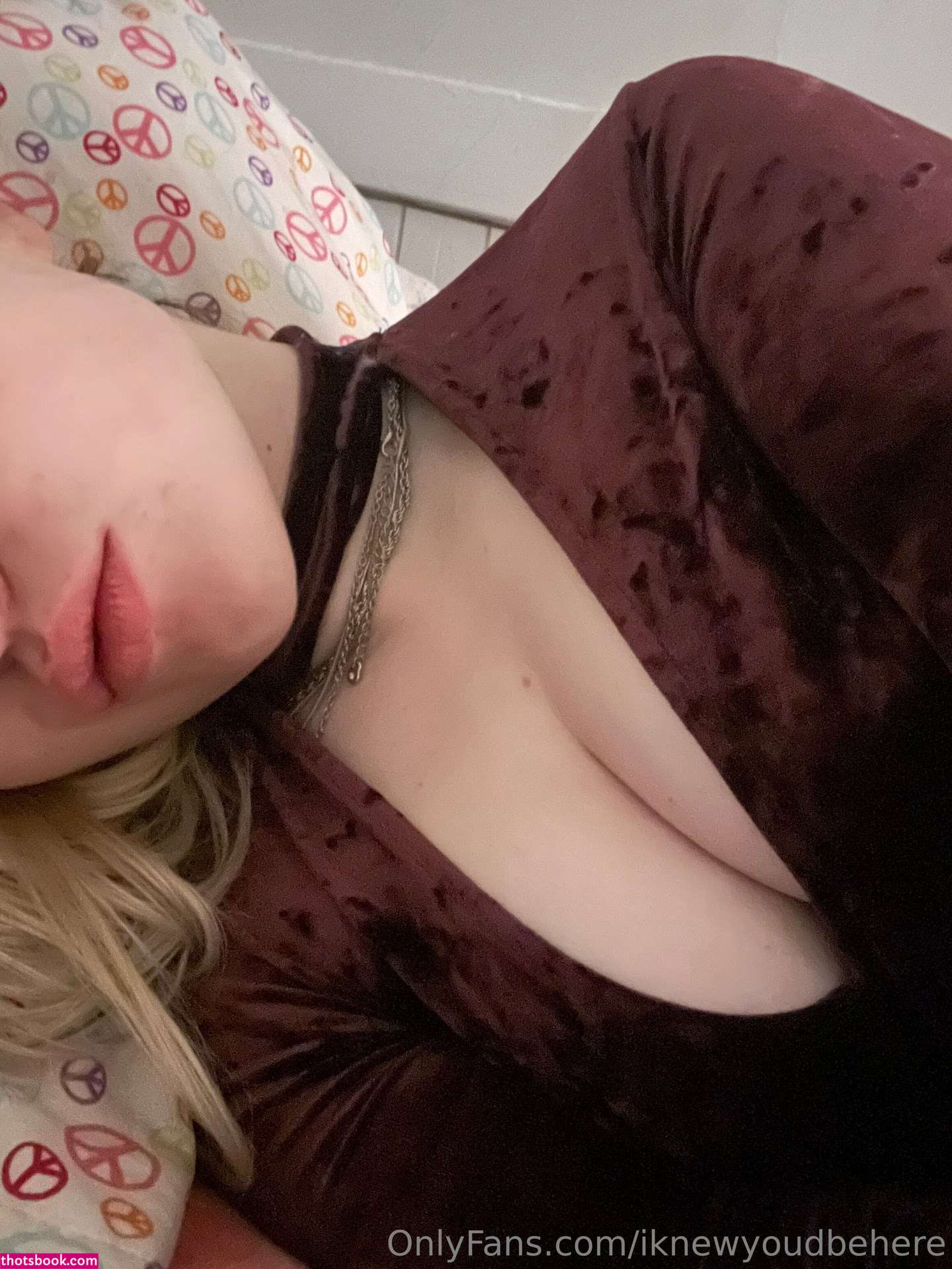 Dana Korkola Photo #1