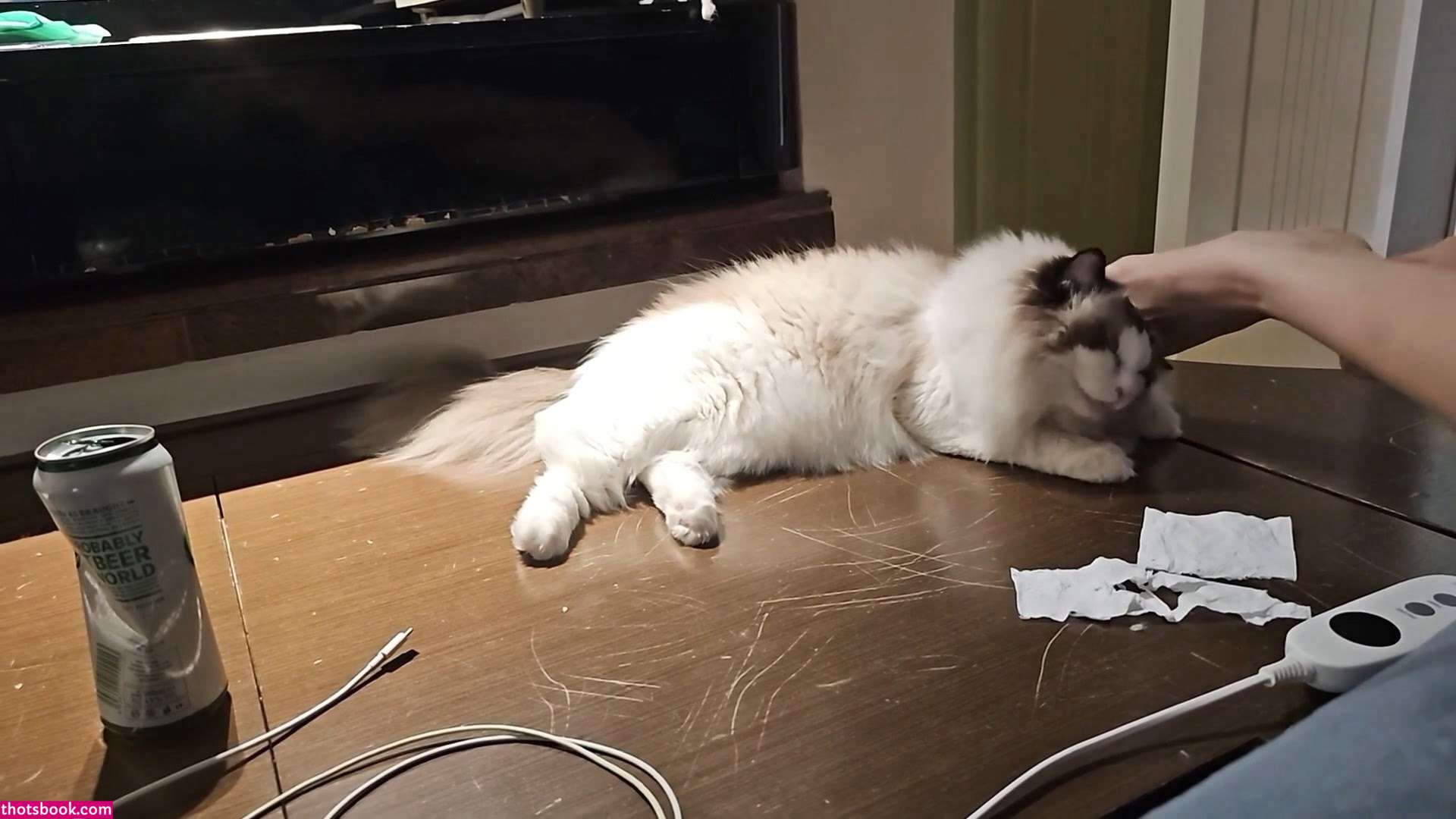 irissiri129 Photo #19