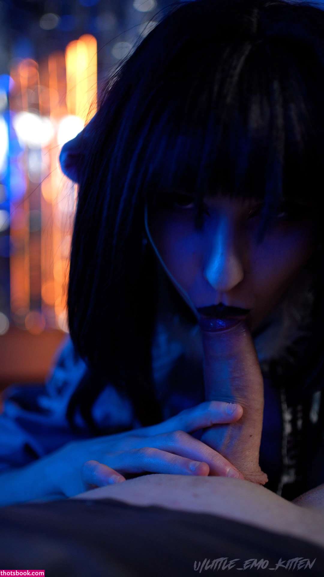 Little Emo Kitten Photo #330