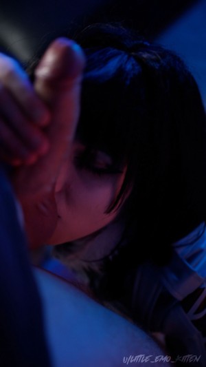 Little Emo Kitten Photo #329