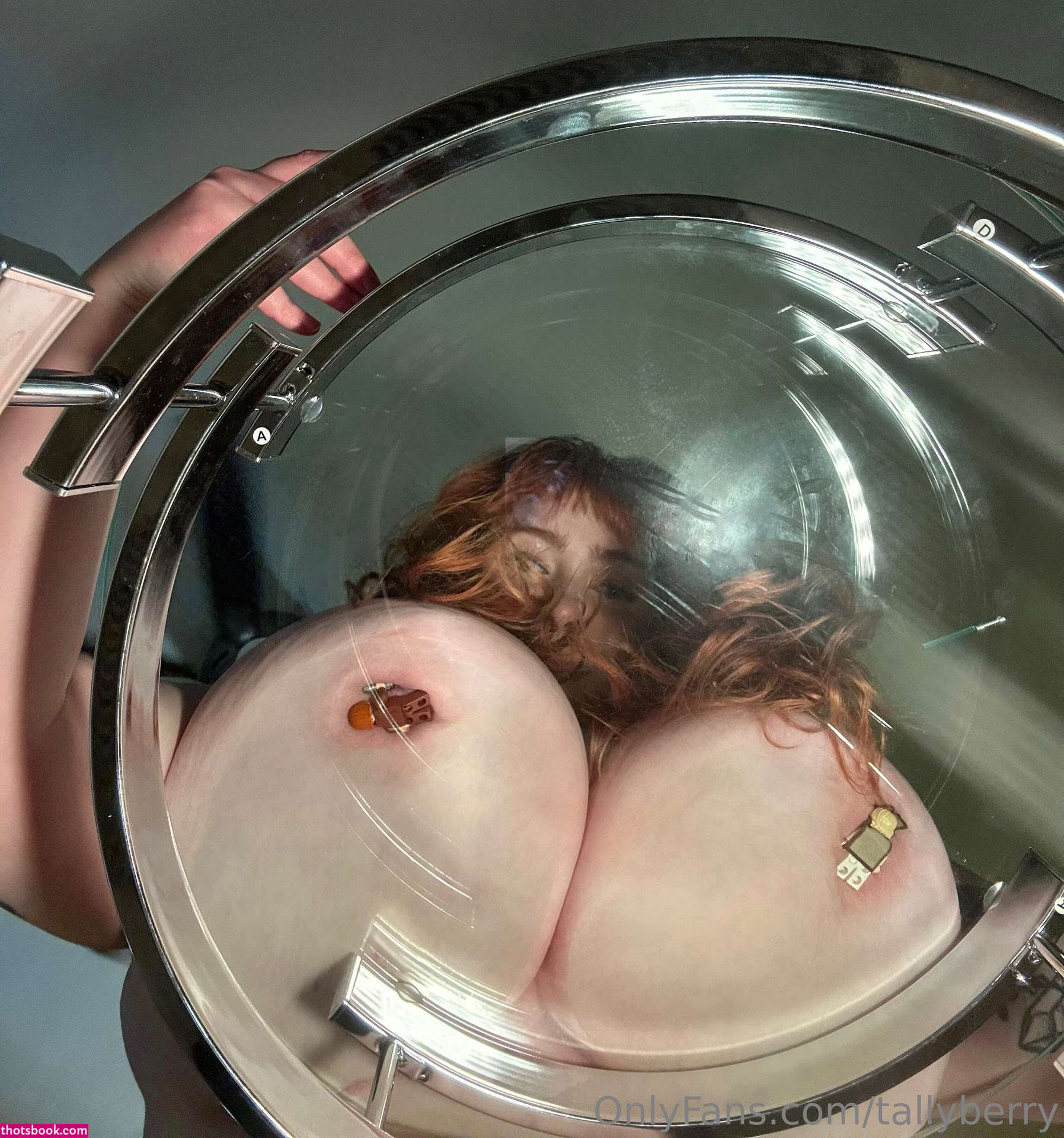 Tallyberry Photo #229