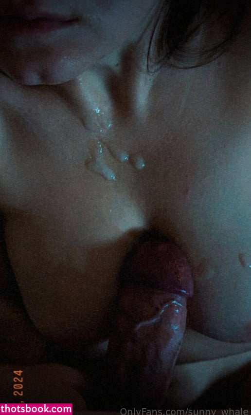 Sunny Whale Photo #14