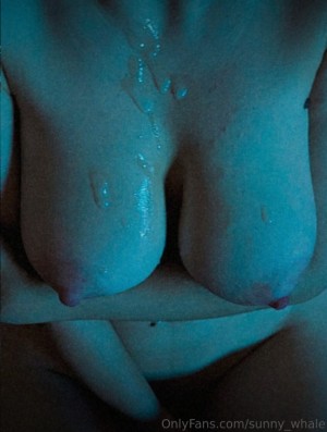 Sunny Whale Photo #8