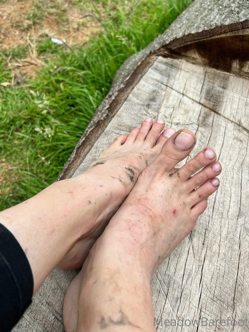 Meadow Barefoot Photo #19