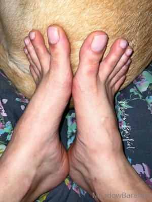 Meadow Barefoot Photo #15