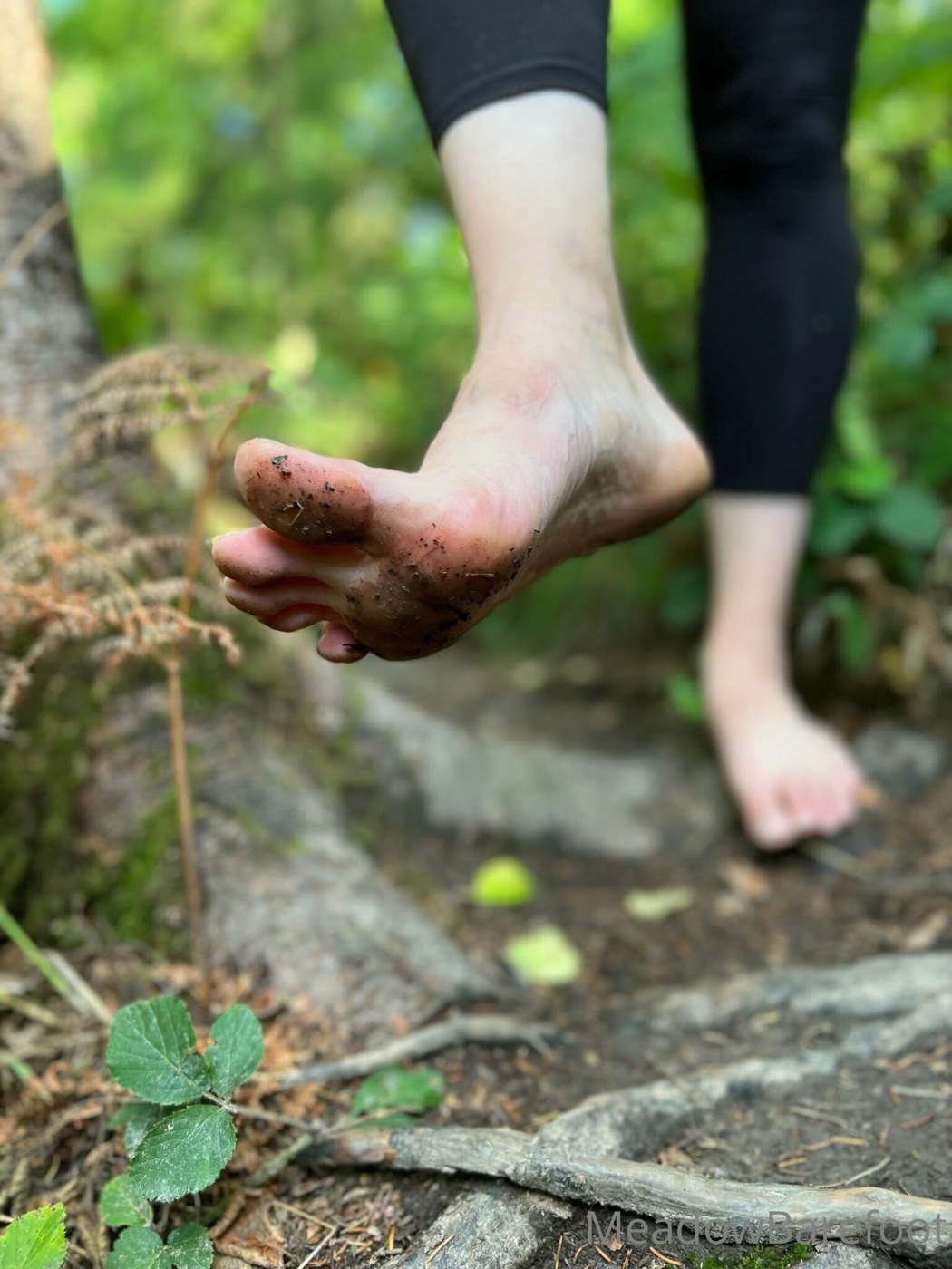 Meadow Barefoot Photo #44