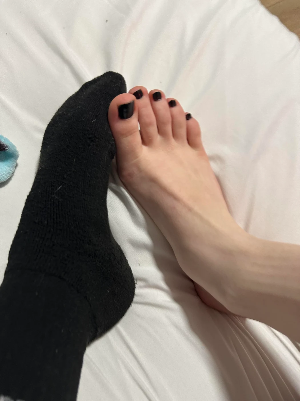 Rattoos Photo #11