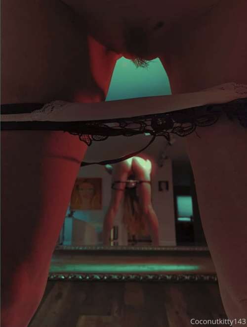 Coconut Kitty Photo #57