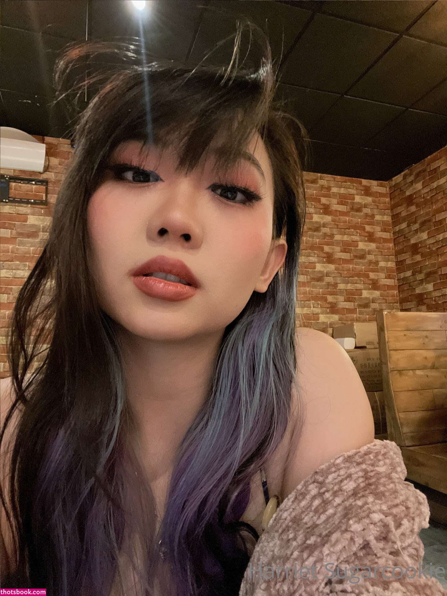 Harriet Sugarcookie Photo #131