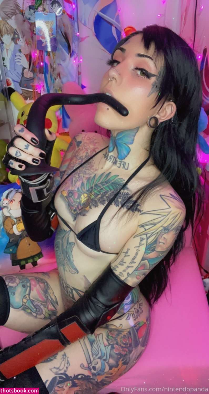 Nintendopanda Photo #3