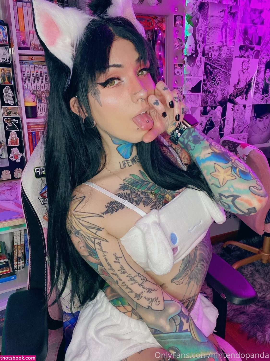 Nintendopanda Photo #12