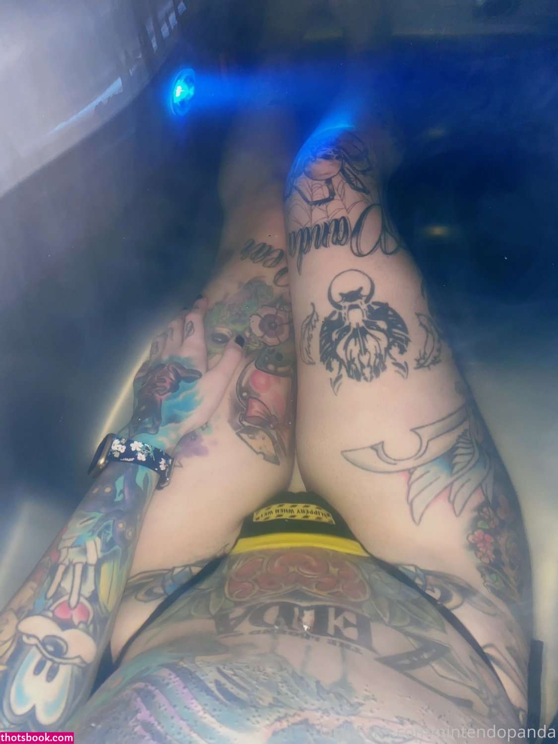 Nintendopanda Photo #24