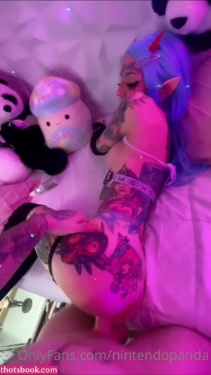 Nintendopanda Post #16
