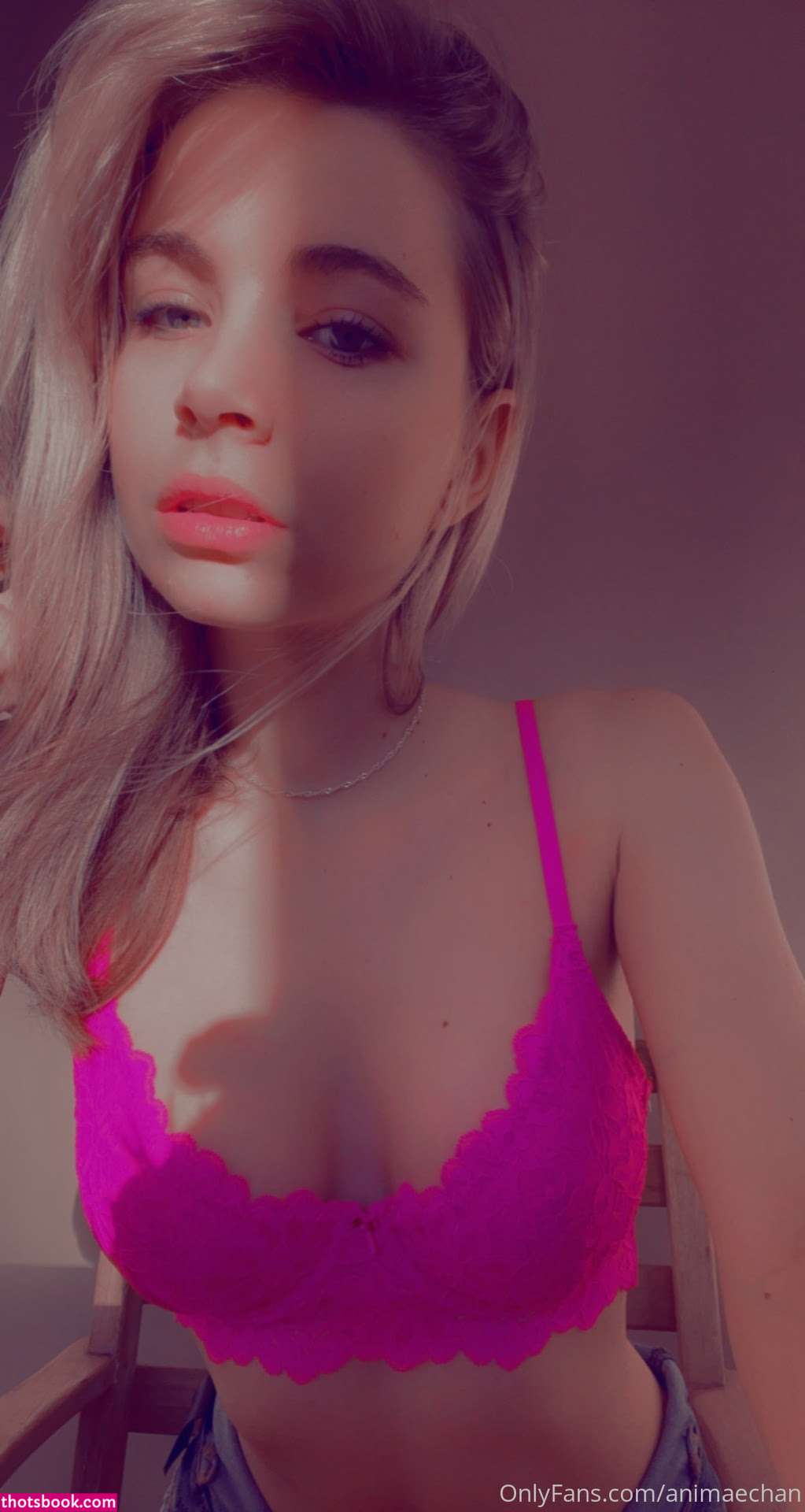 Animaechan Photo #15