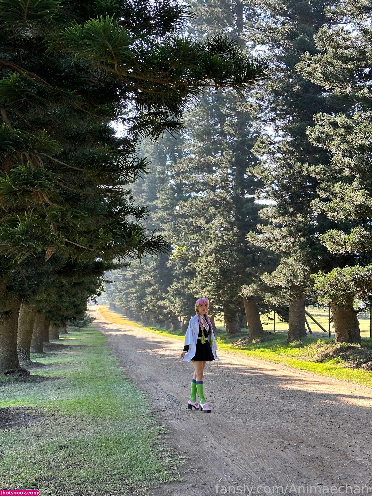 Animaechan Photo #40